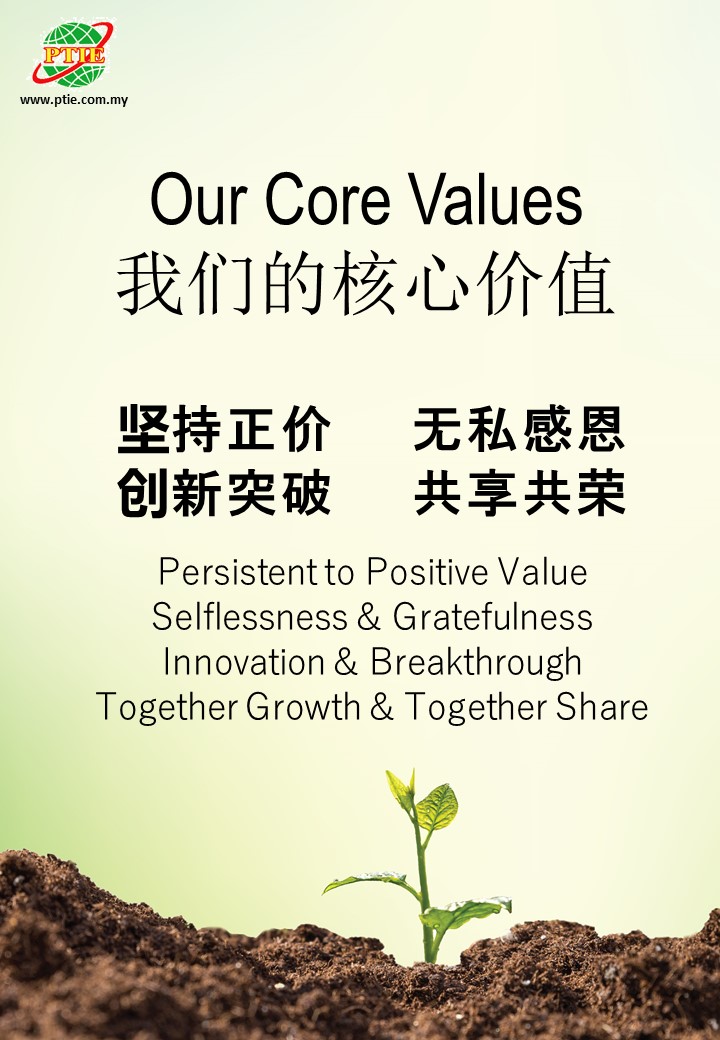 4-core values.JPG